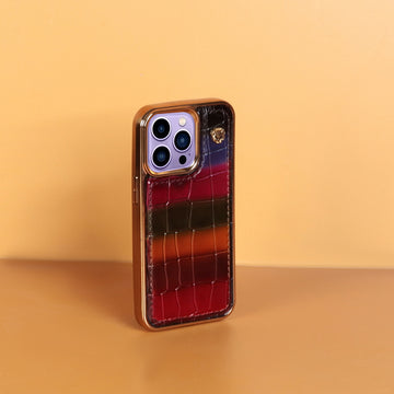 Golden Rim Mobile Cover Multi Color Leather iPhone Series Metal Lion